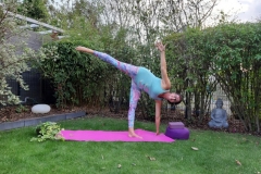 2019-Yoga-Ardha-Chandrasana