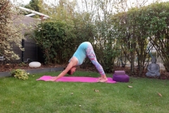 2019-Yoga-Hund-Ab1